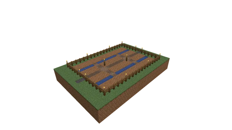 Carrot Field