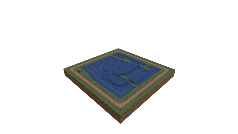 Rice Paddy